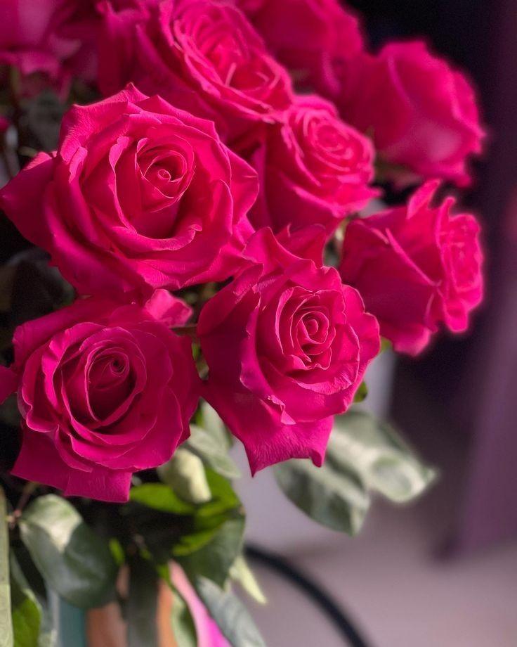 Serenade in Petals: Harmony of Colors Array